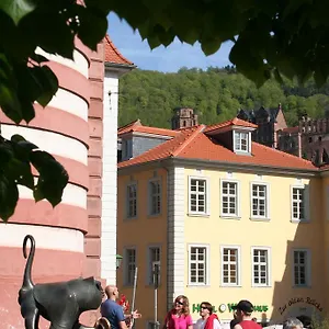 Hotell Zur Alten Bruecke